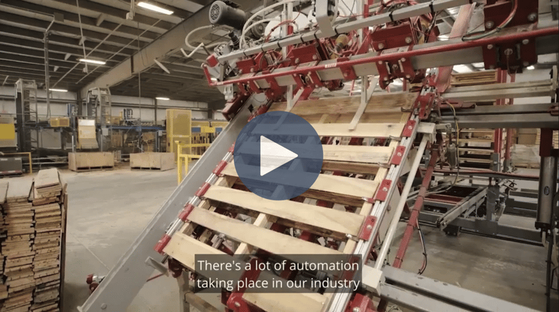 recycled pallets on a line in a pallet plant