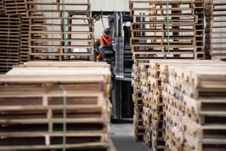 recycled white wood pallets in a plant