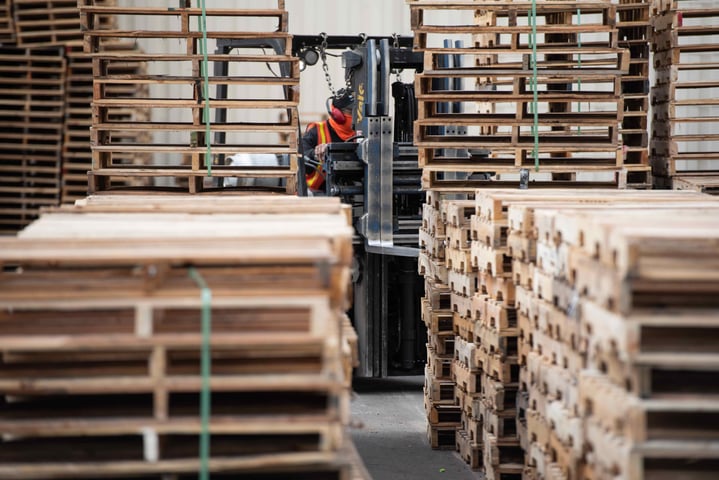 recycled white wood pallets in a plant